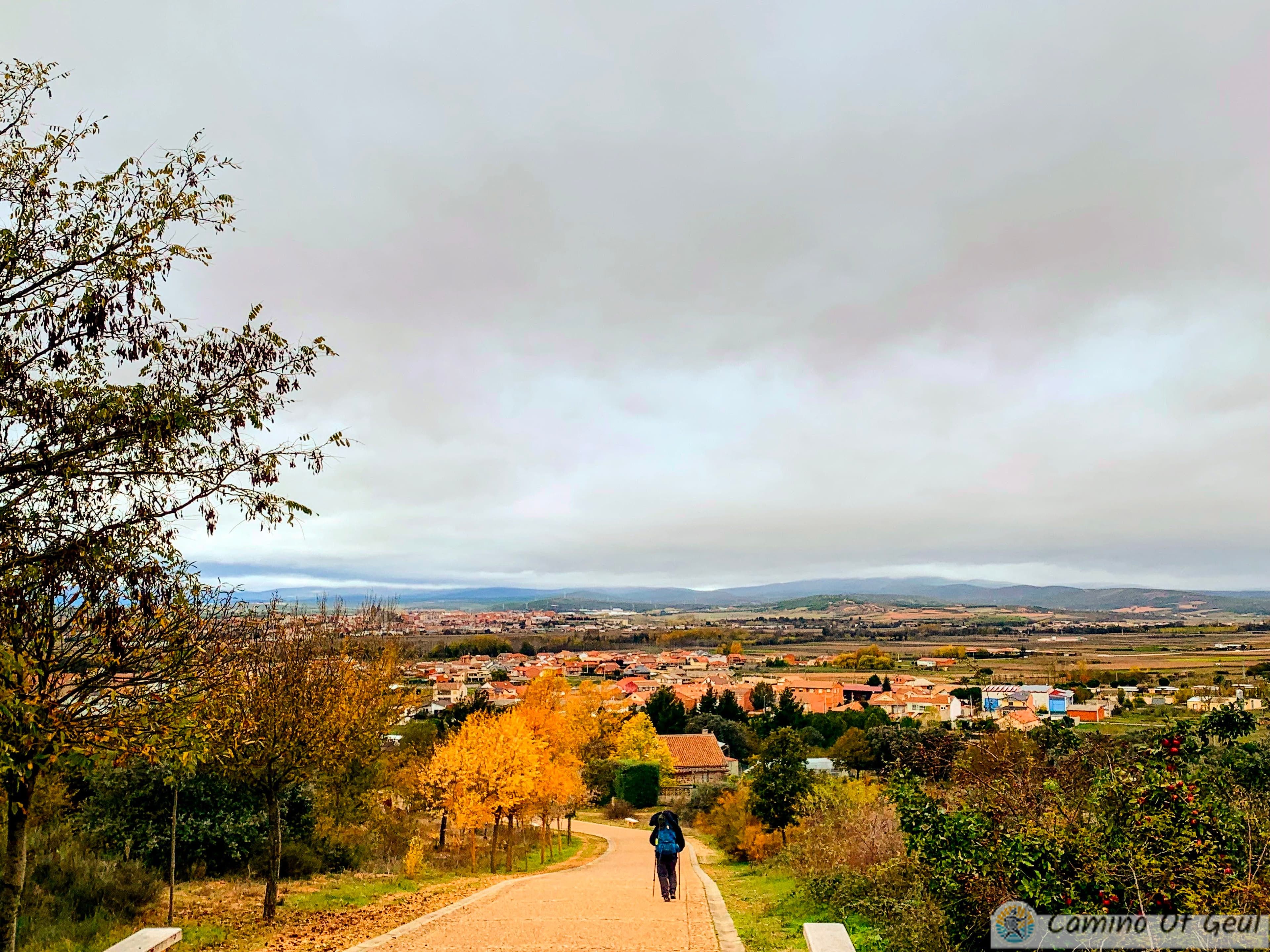 IMG_1411-EDIT.jpg