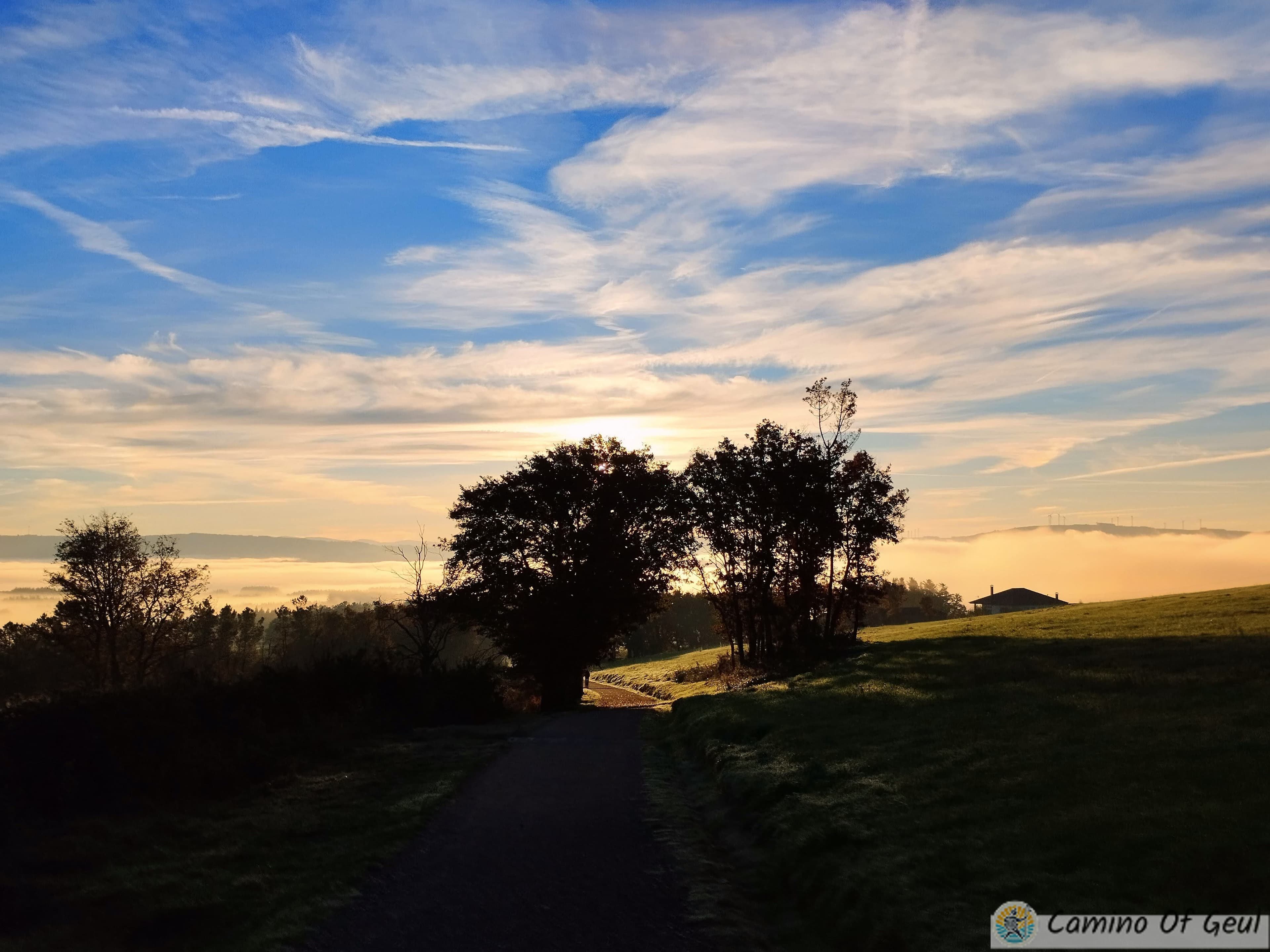 IMG_20231118_085854-EDIT.jpg