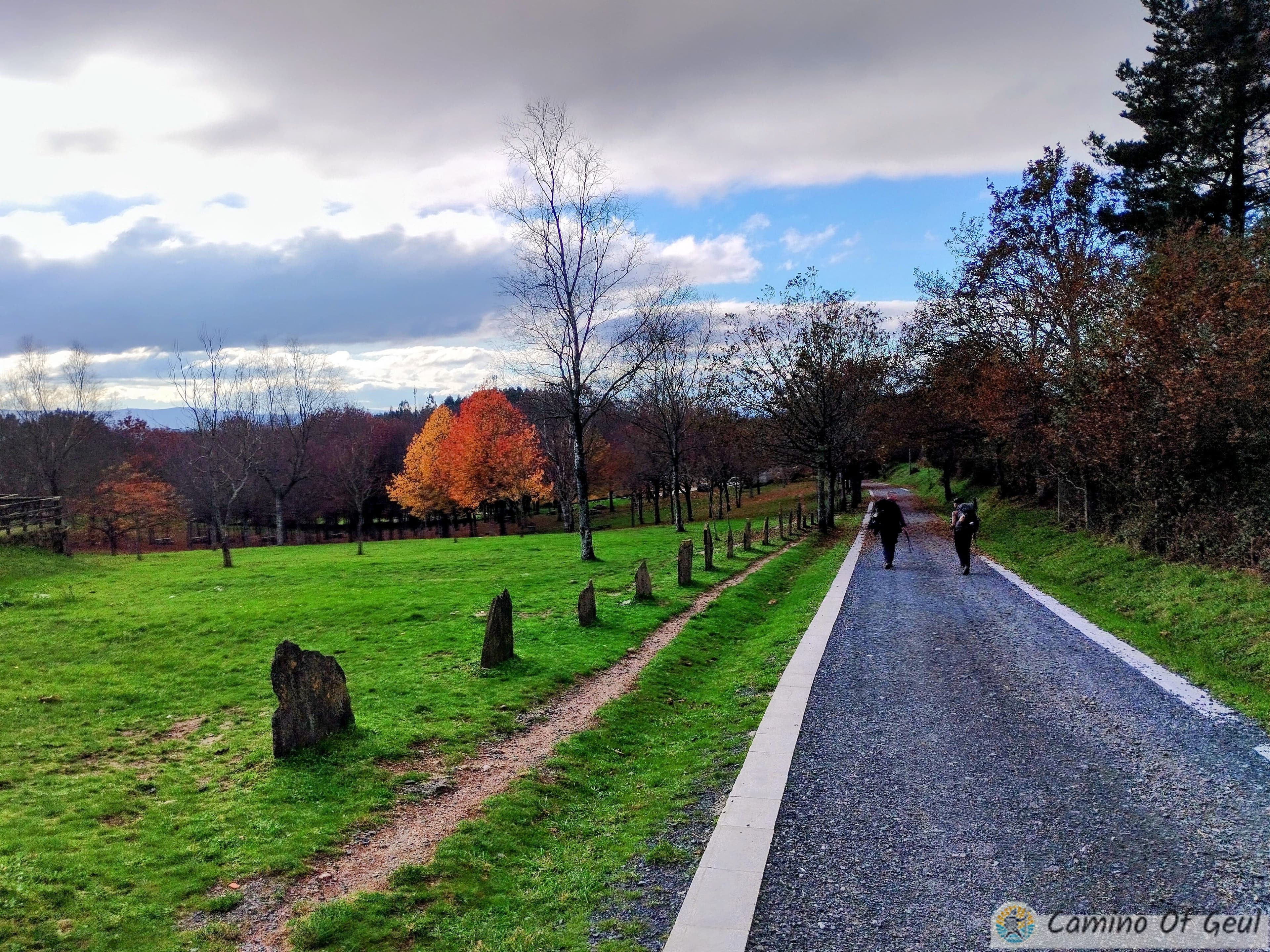 IMG_20231118_160224-EDIT.jpg