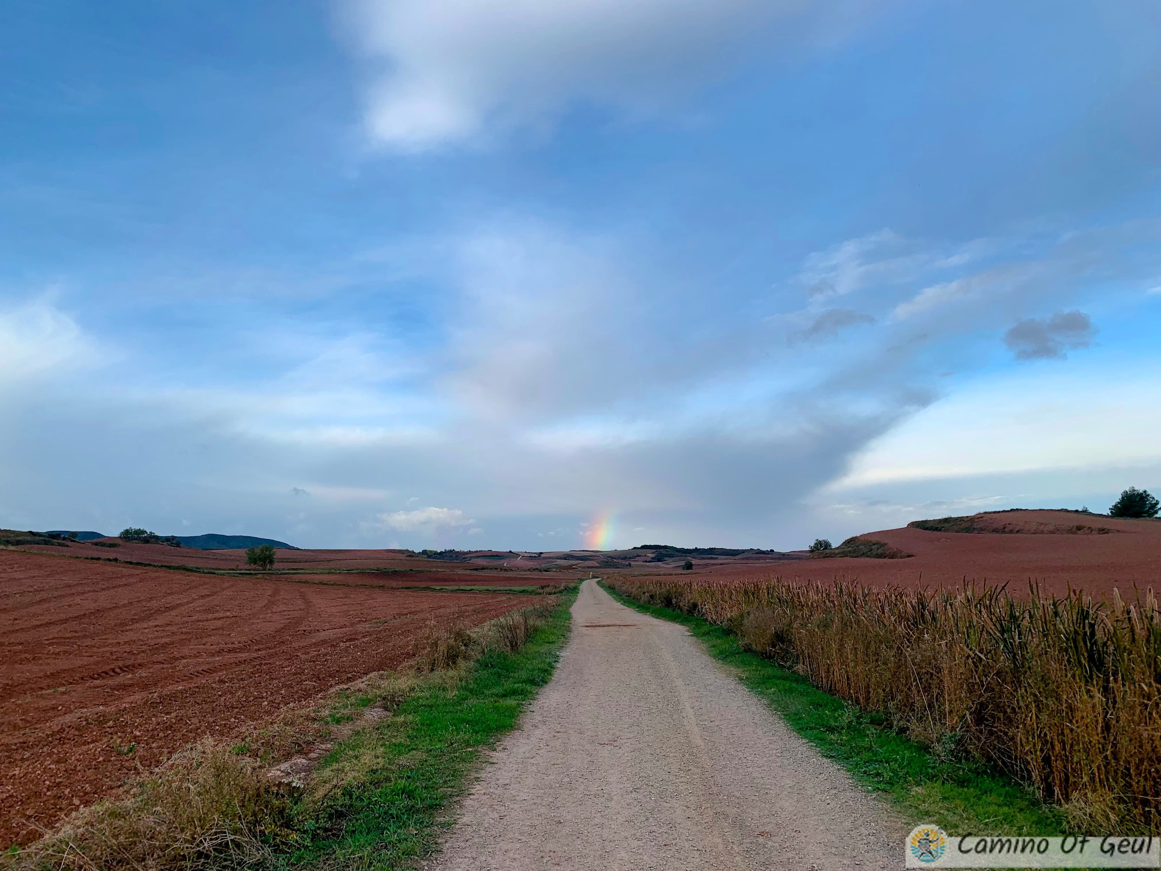 IMG_0277-EDIT.jpg