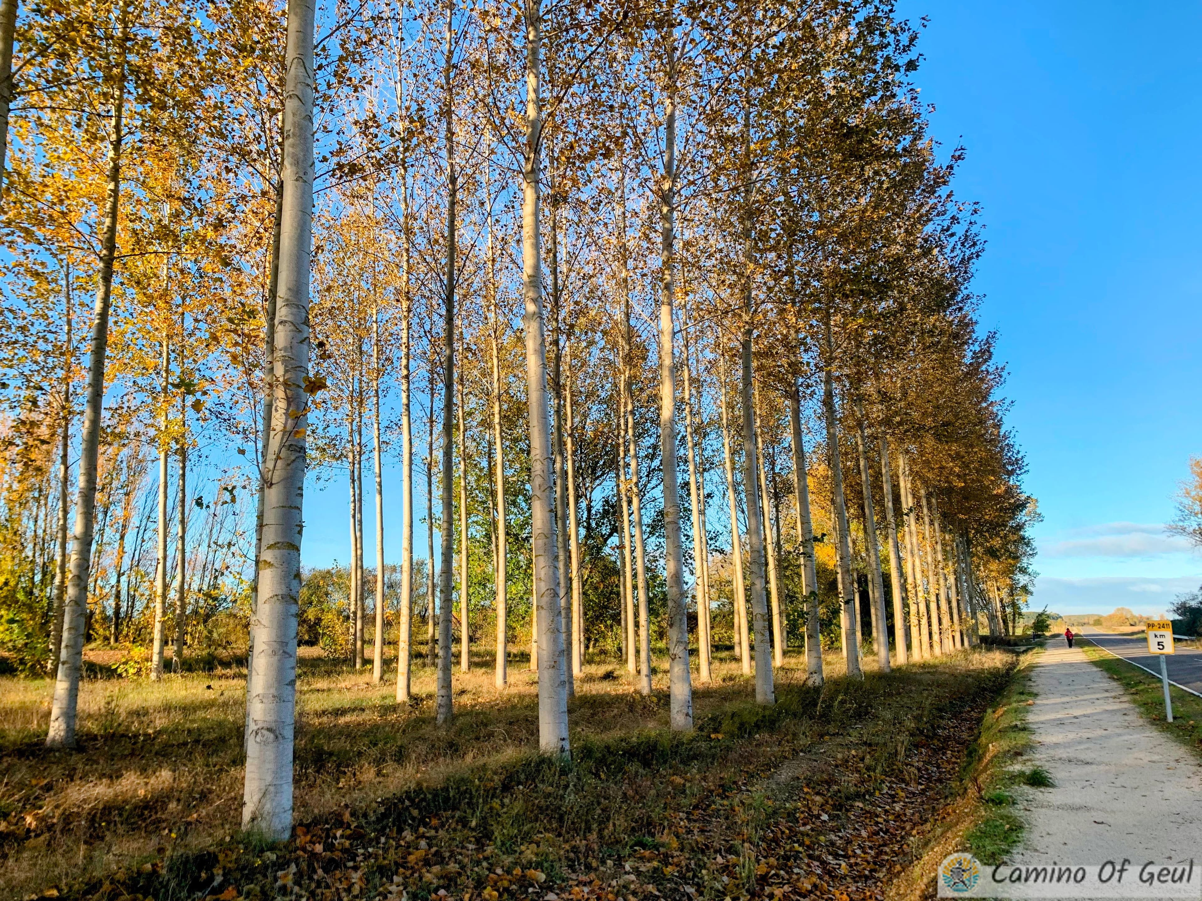 IMG_1097-EDIT.jpg