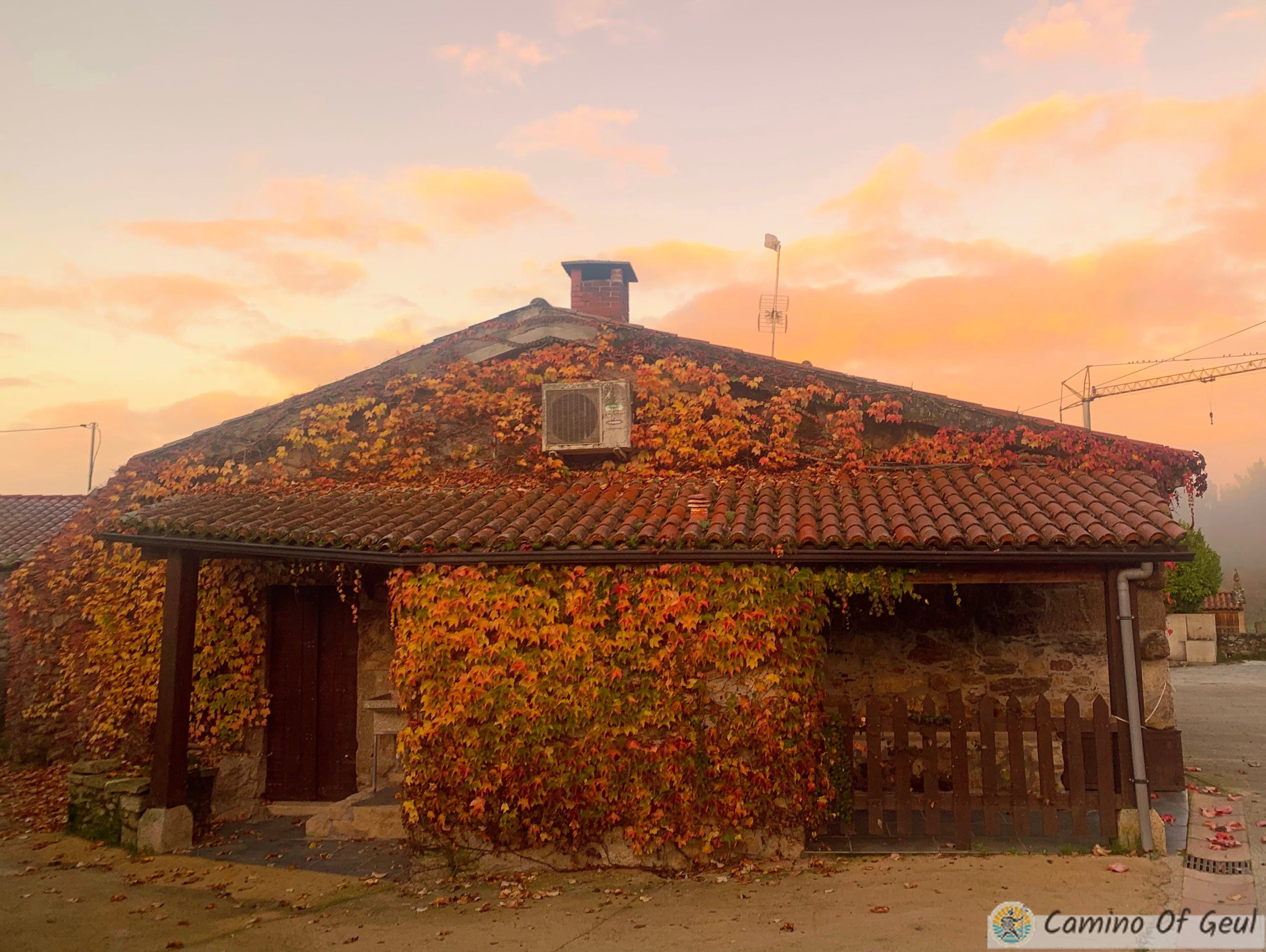 IMG_1728-EDIT.jpg