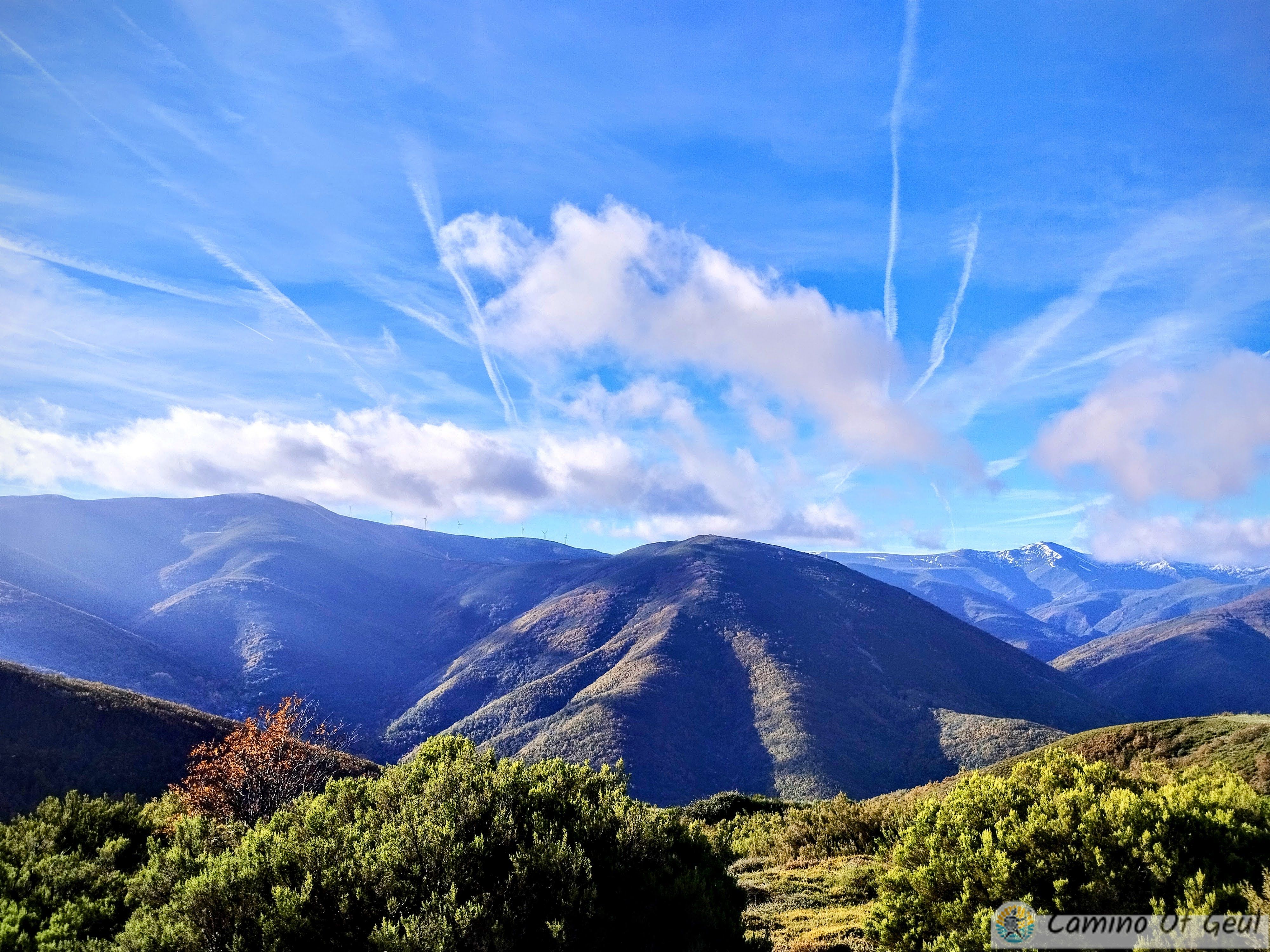 IMG_20231112_101335-EDIT.jpg