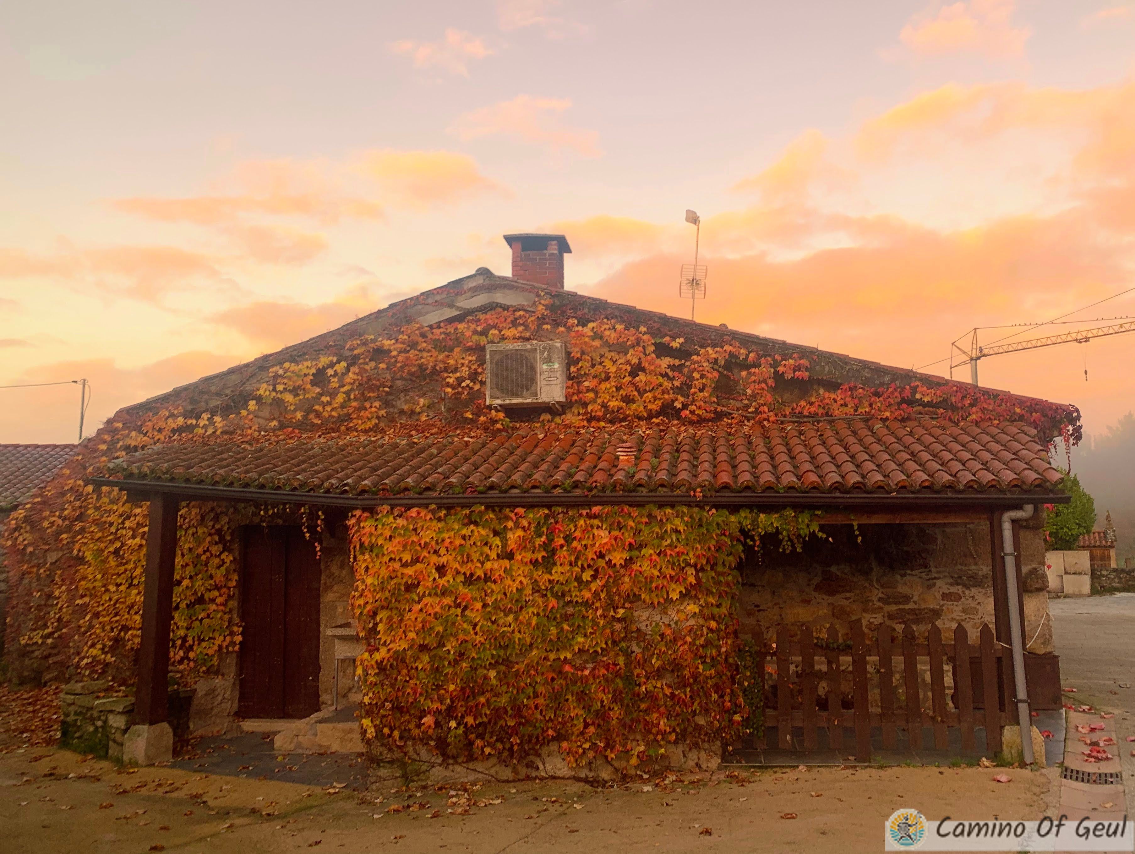 IMG_1728-EDIT.jpg